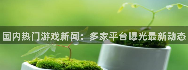 星欧娱乐app下载