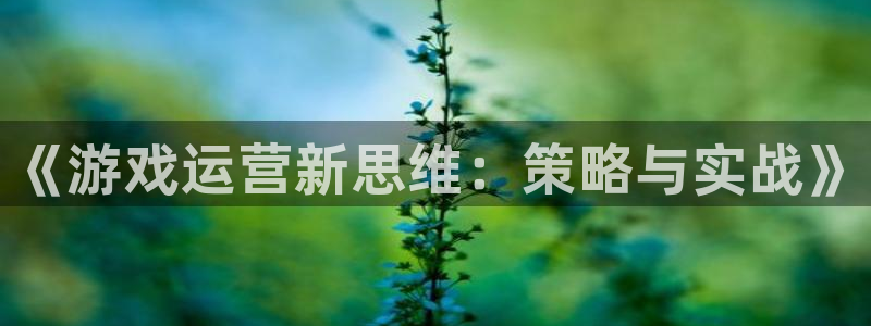 星欧娱乐4开户：《游戏运营新思维：策略与实战》