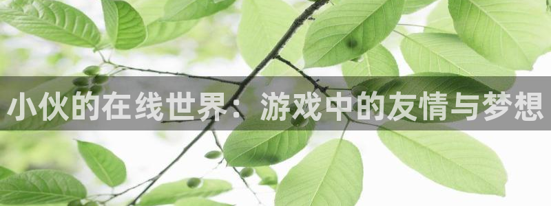 星欧娱乐在线登录：小伙的在线世界：游戏中的友情与梦想