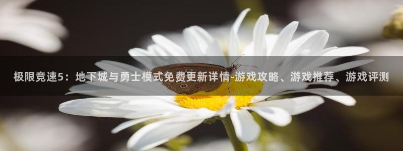 星欧娱乐注册登录：极限竞速5：地下城与勇士模式免费更新详情-