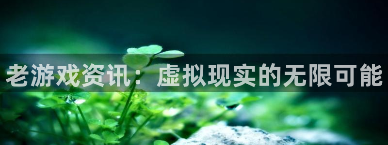 星欧娱乐网址官网：老游戏资讯：虚拟现实的无限可能