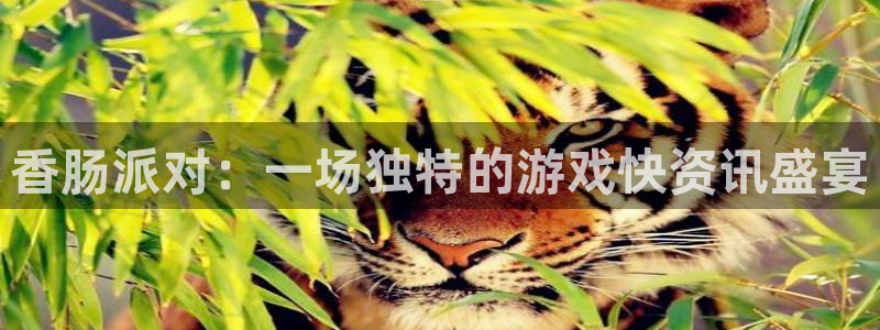 星欧娱乐的意思：香肠派对：一场独特的游戏快资讯盛宴