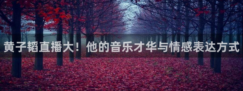 so米nba直播吧：黄子韬直播大！他的音乐才华与情感表达方式