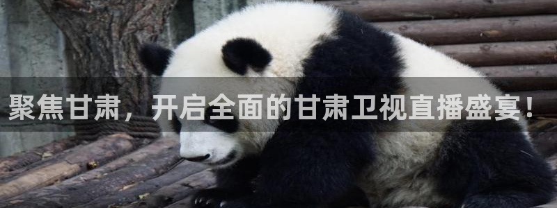 so米体育直播nba赛事：聚焦甘肃，开启全面的甘肃卫视直播盛宴！