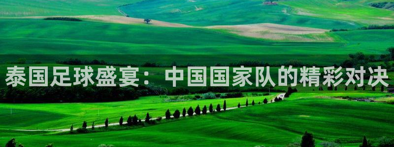 so米赛事直播：泰国足球盛宴：中国国家队的精彩对决