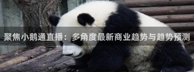so米体育免费直播：聚焦小鹅通直播：多角度最新商业趋势与趋势预测