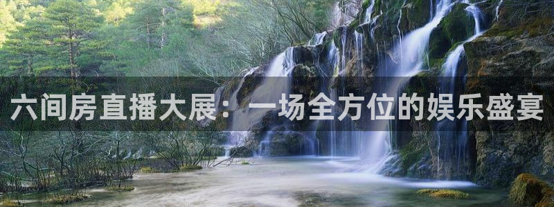 so米直播体育：六间房直播大展：一场全方位的娱乐盛宴
