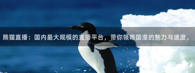 so米体育直播网站：熊猫直播：国内最大规模的直播平台，带你领略国漫的魅力与速度。