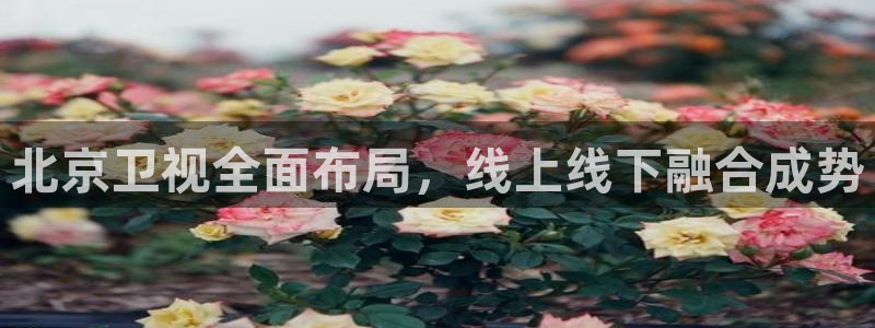 so米体育直播app下载：北京卫视全面布局，线上线下融合成势