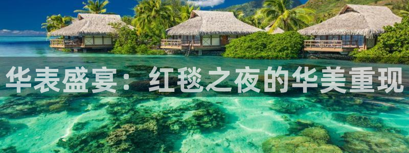 so米体育nba：华表盛宴：红毯之夜的华美重现