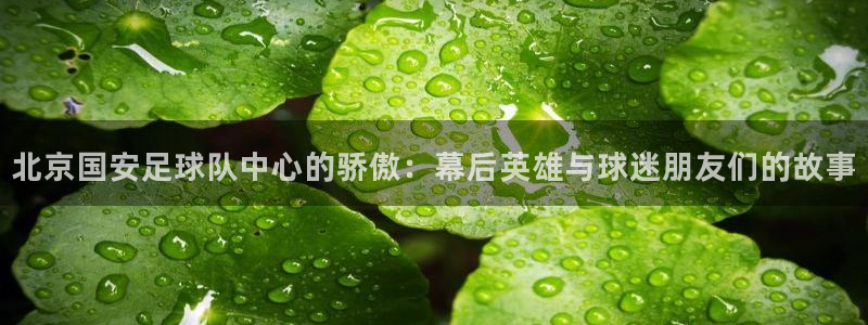 so米nba体育直播：北京国安足球队中心的骄傲：幕后英雄与球迷朋友们的故事